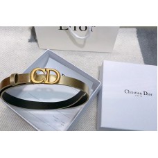 Dior Saddle calfskin elt in Gold Calfskin Leather Dior Saddle calfskin elt in Gold Calfskin Leather